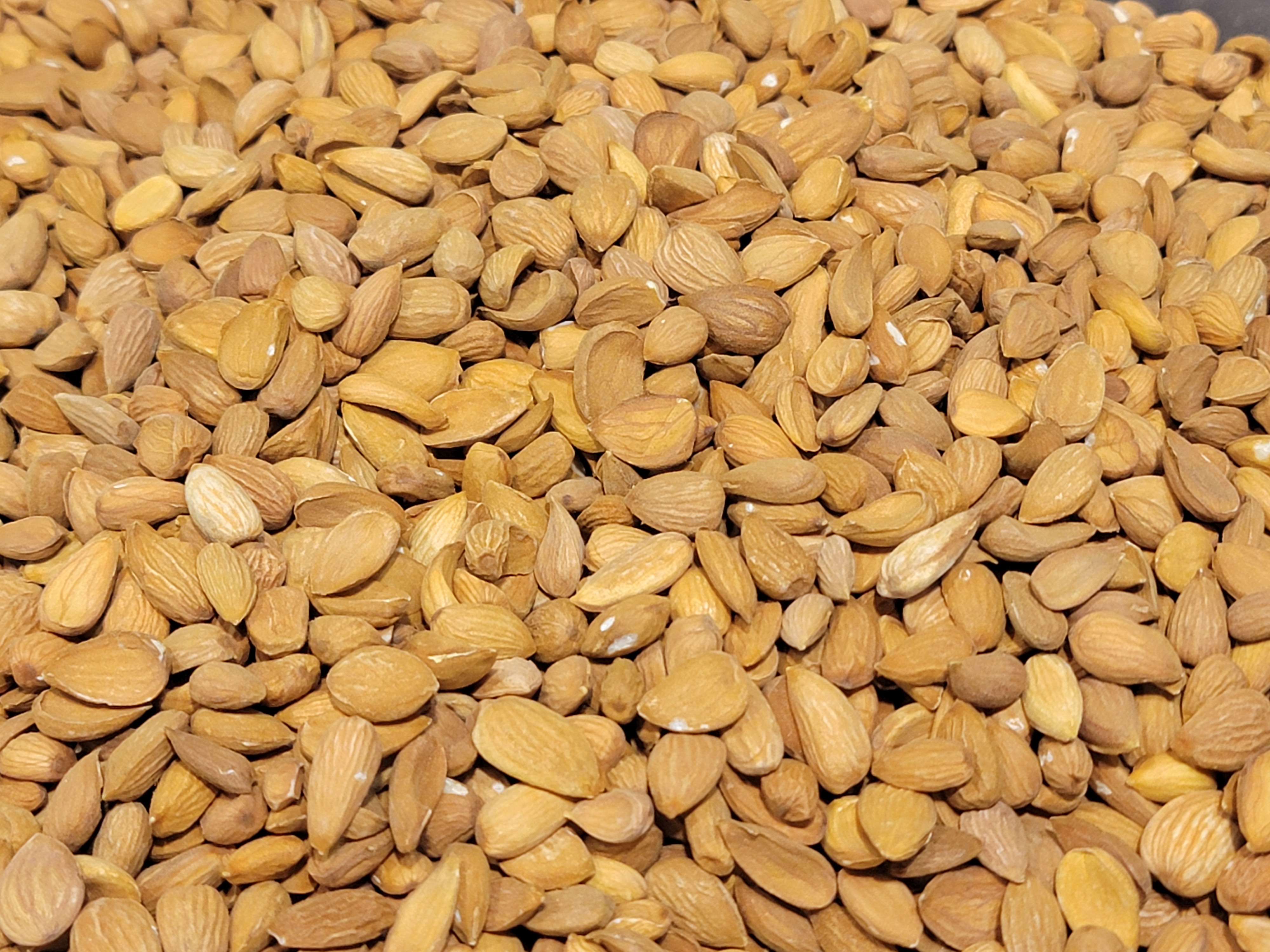 لوز بلدي ممتاز