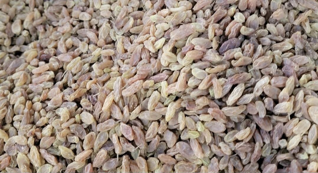 زبيب رازقي ممتاز